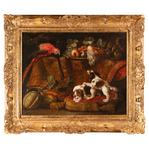 Still life with macaw, squirrel and spaniels - attributed to Reynaud Levieux (1613-1690)